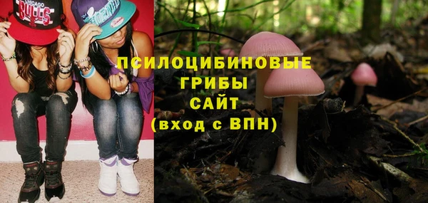 эйфоретик Вязники
